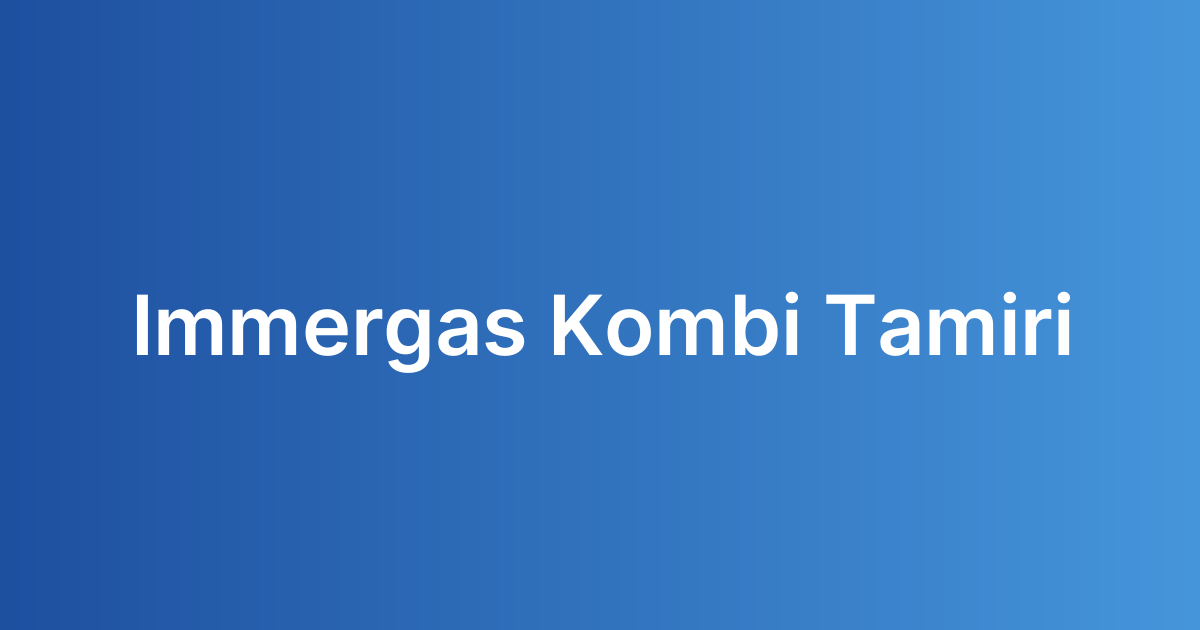 immergas kombi tamiri